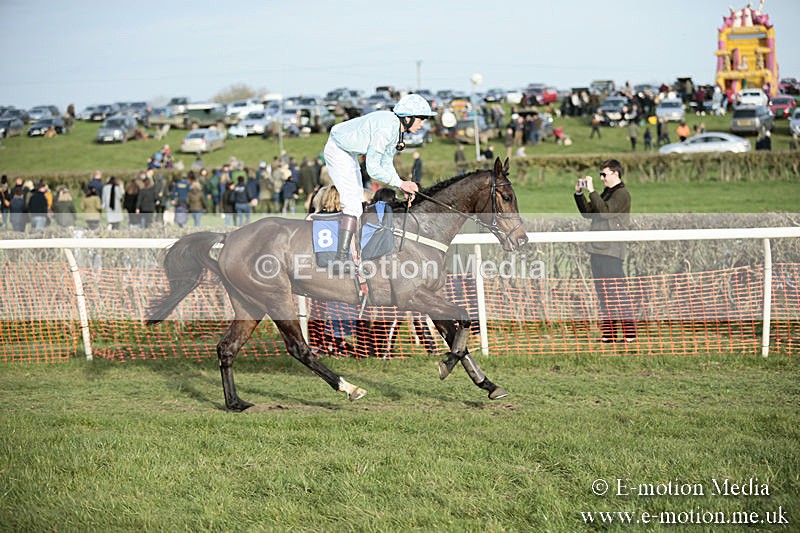 PtP 230319 532 - VWH Hunt Siddington Point-to-Point Racing 23/03/19