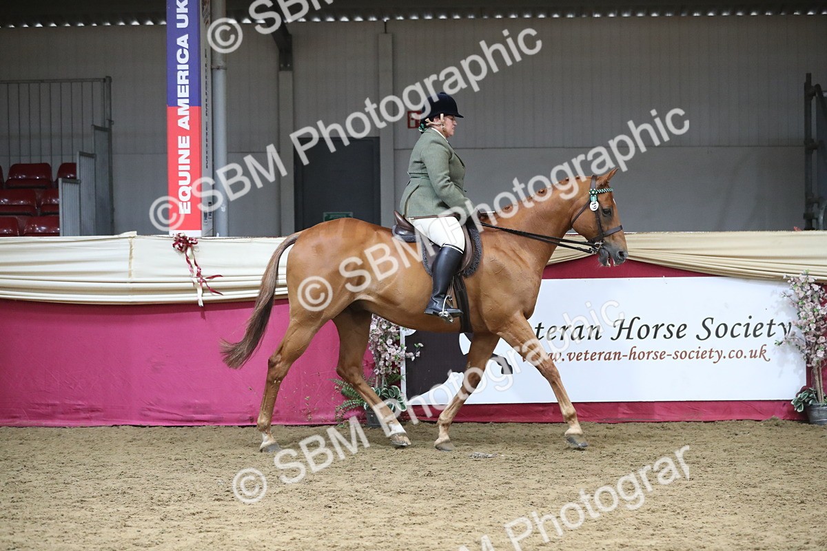 SBM_12300 - Class 108 Ridden Retired Racehorse- Pre Judging