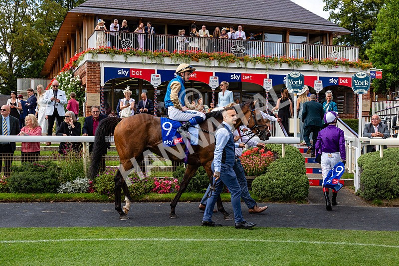 220826-Race 1-Archivist-0487 - Race 1 13.50pm Sky Bet Strensall Stakes