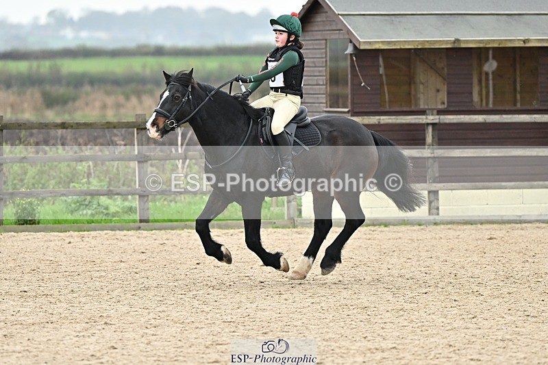 241110-140857-01043 - 60-65cm Arena Eventing