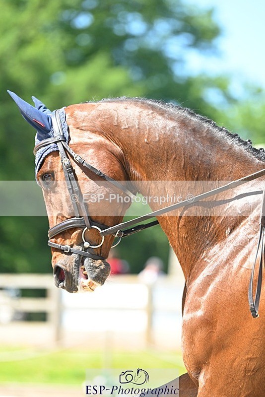 230526-114536-05844 - 470-MCS_MAVERICK-Pippa_Funnell-DR