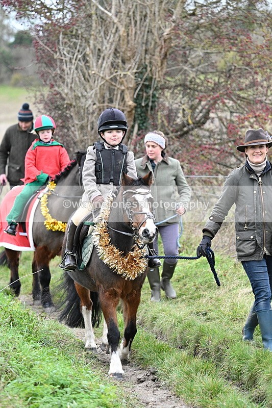 WJ7_0943 - First Seen