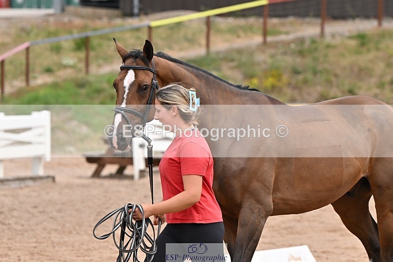 250716-142817-01105 - Trot Up 1.30 to 2.30