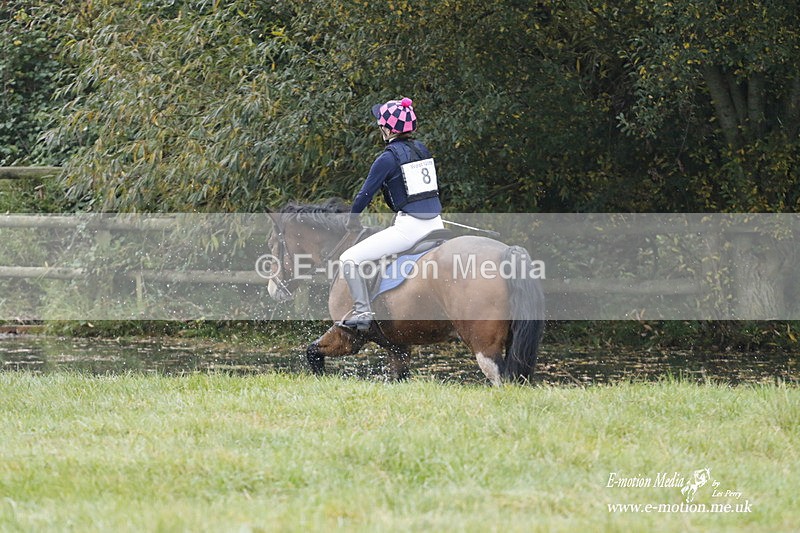 WWHT 171021 0339 - Novice Restricted (0.80m)  17/10/21