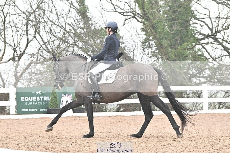 250215-133331-03890 - 165-Elder.Klatzko-Dynasty.Hit