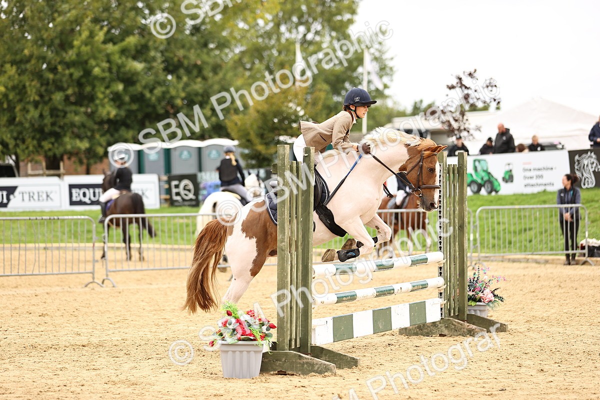 SBM_64766 - J17 - Junior Pony 80cm Championship