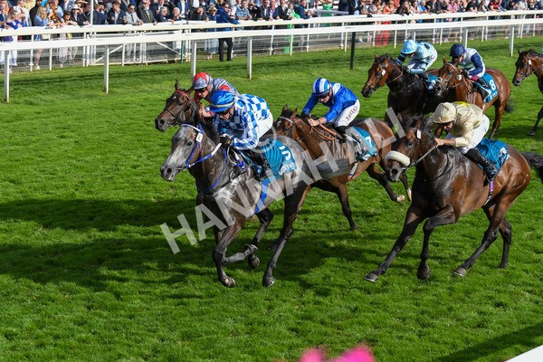 250823-Race 7-Silver Sword-1232 - Race 7 5.15pm Sky Bet Mile Handicap