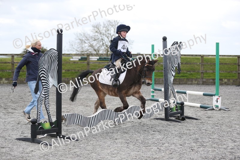 20260412-0565 - Show Jumping