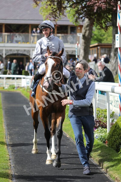 yr12052022r5-22 - Race 5 4.10pm British Stallion Studs EBF Westow Stakes