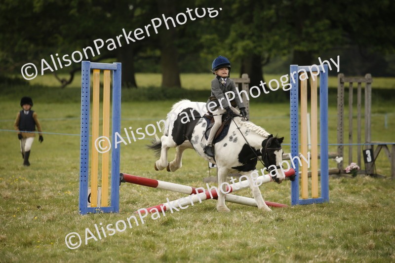 20250517-0824 - Class 2 - 30cm Off Lead Rein