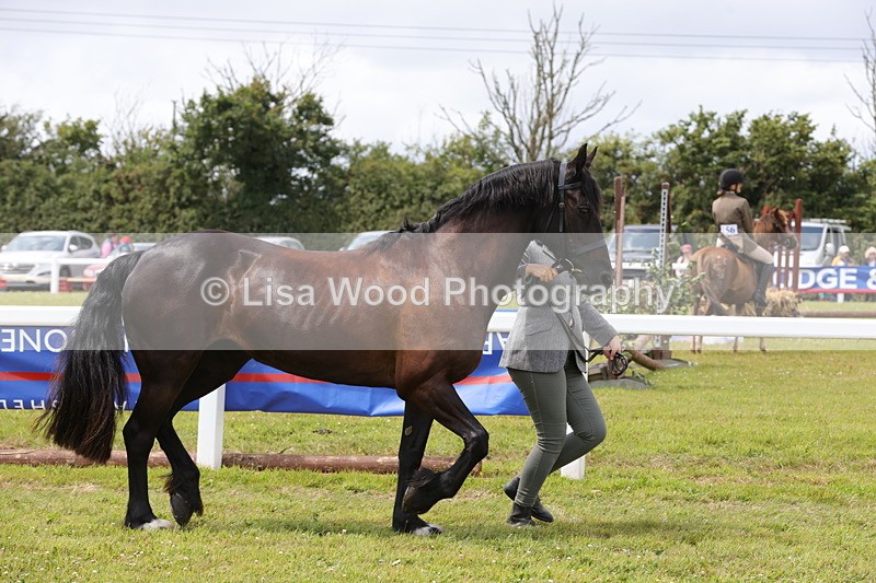 1X9A4769 - Class 35: Veteran In Hand