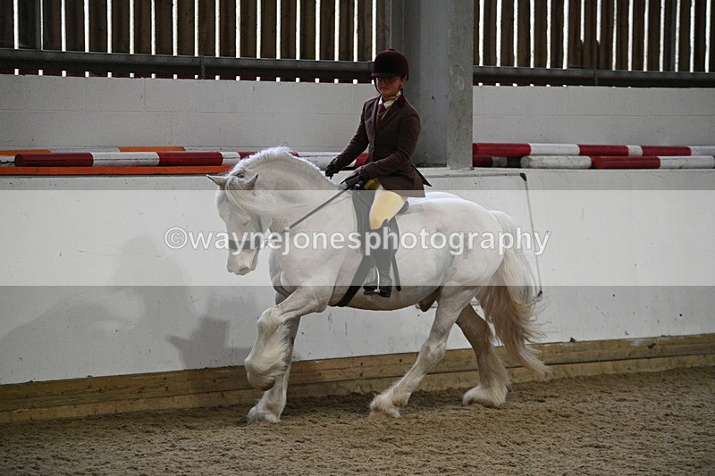 WJ7_4196 - Class 17 Ridden Cob
