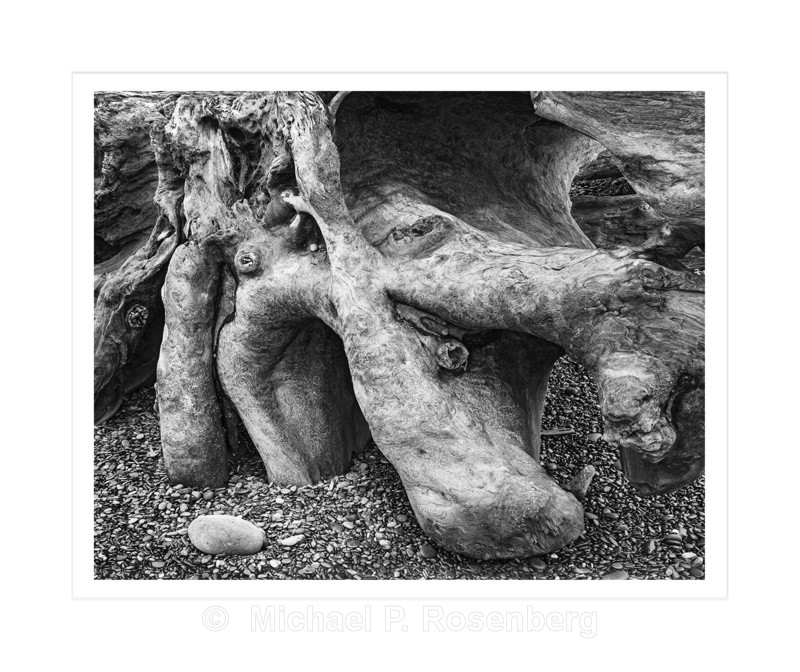 Hollows and points, Rialto Beach WA (2014/D00753) - CALIFORNIA, OREGON, AND WASHINGTON STATES