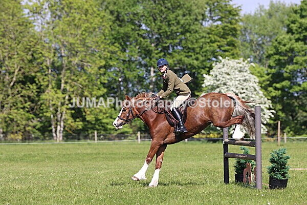 IMG_4735 - Working Hunter