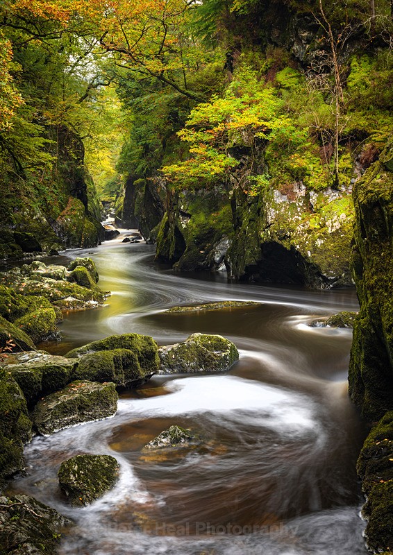 Fairy Glen