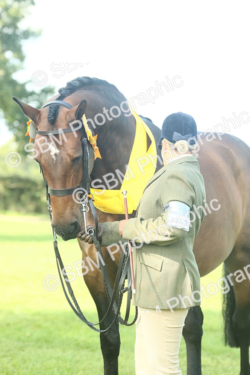 SBM_61137 - Starter Supreme Championship
