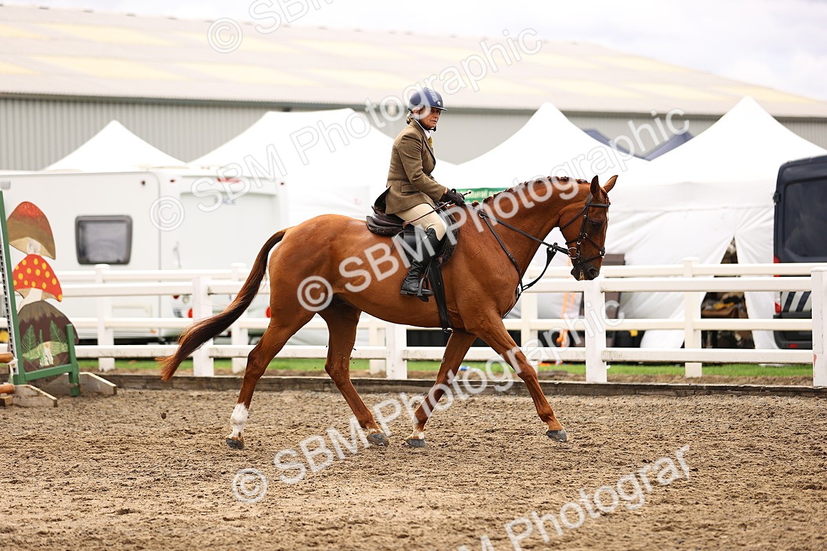 SBM_00552 - Class 53 - Ridden Competition Horse Pony