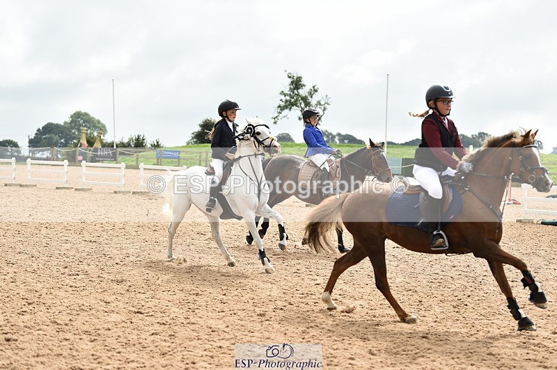 230902A-120832-00945 - Cls 2B Pony Small 80cm