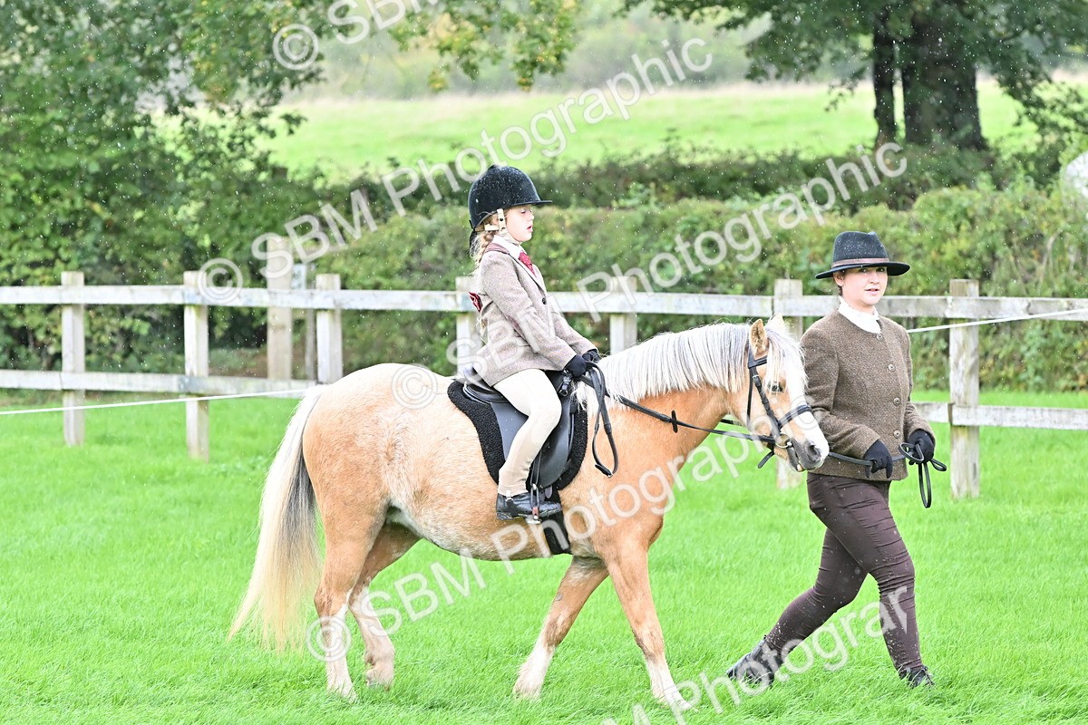 SBM_40113 - S20 - Lead Rein Mountain & Moorland Pony