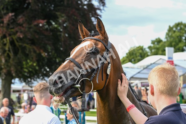 260724-Race 1-Craven-4417 - Race 1 5.30pm eventmasters.co.uk Handicap