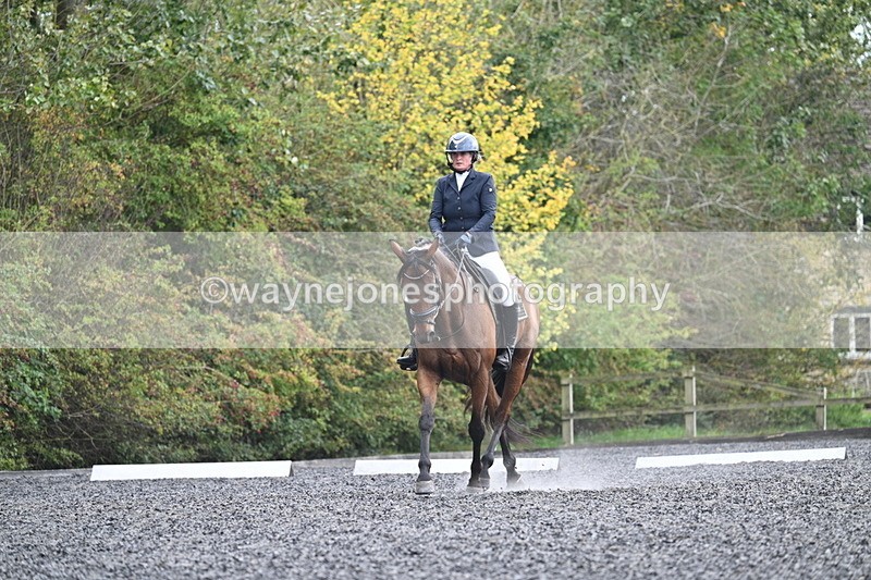 WJ7_6176 - Time 14:10 to 14:45