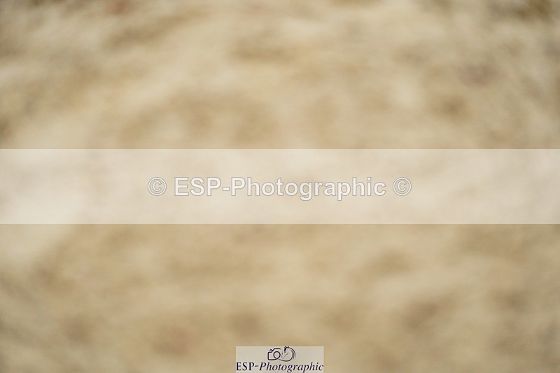 240309-114914-00479 - Cls 01 AE 70cm