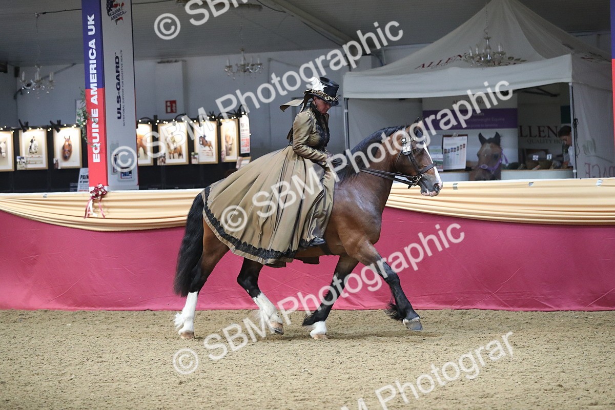 SBM_11970 - Class 106 Ridden Costume- Astride Adult (15-19)