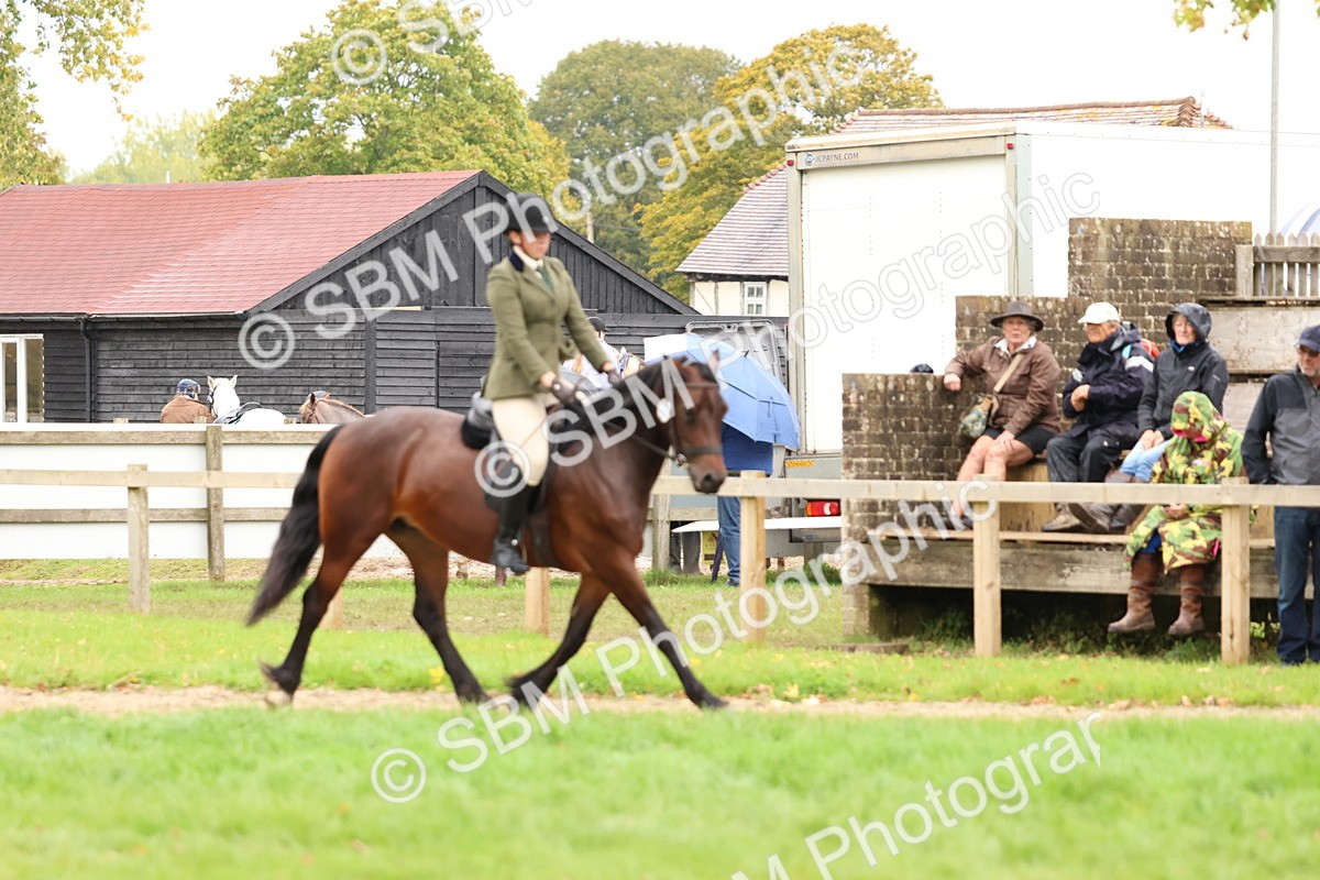 SBM_69608 - S62 - Mountain & Moorland Ridden Large Breeds