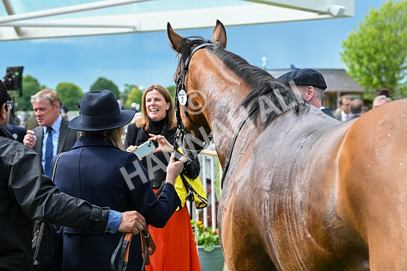140526-Race 2-Jakajaro-4785 - Race 2 2.20pm Lindum York Handicap