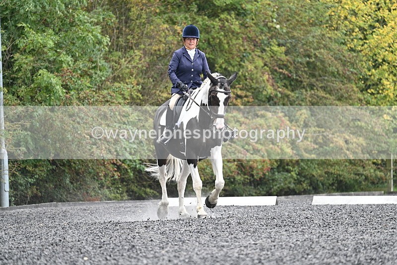 WJ7_3546 - Time 09:54 to 10:54