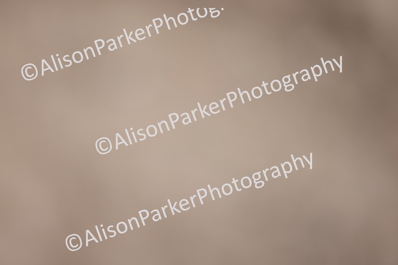 20260215-0057 - Class 1 - Prelim 5