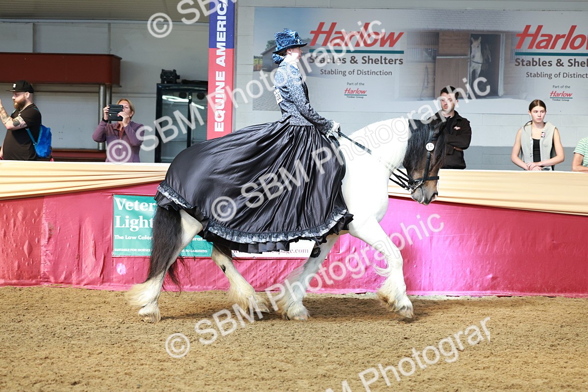 SBM_13692 - Class 106 - Ridden Costume -Astride Adult (15-19)