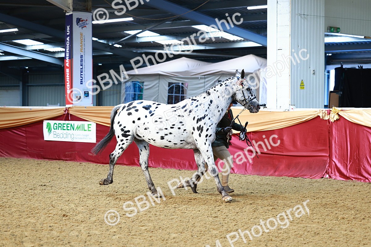 SBM_21950 - Class 901 - Supreme Final - IH  Diamond