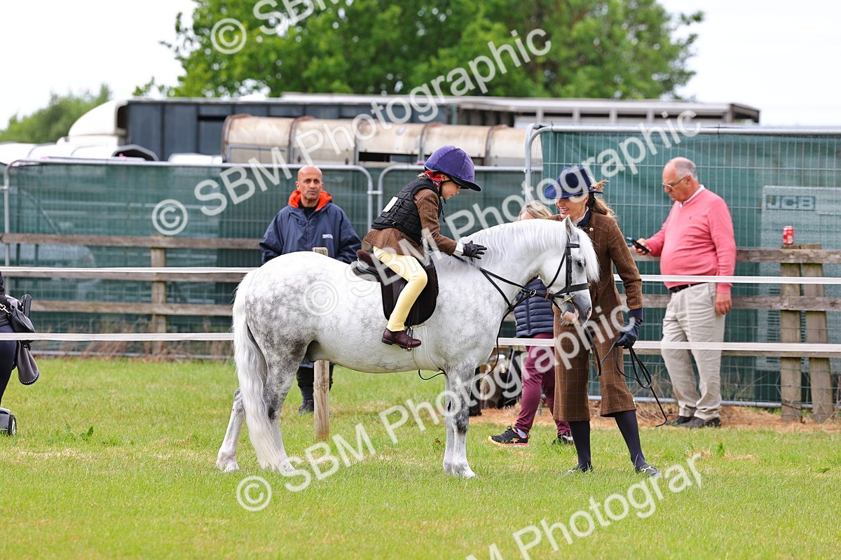 SBM_08272 - Class 42-43 - LIHS BSPS Heritage Working Sports Pony