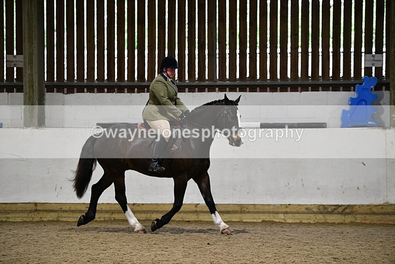 WJ5_8269 - Class 14 Novice Ridden/Rider