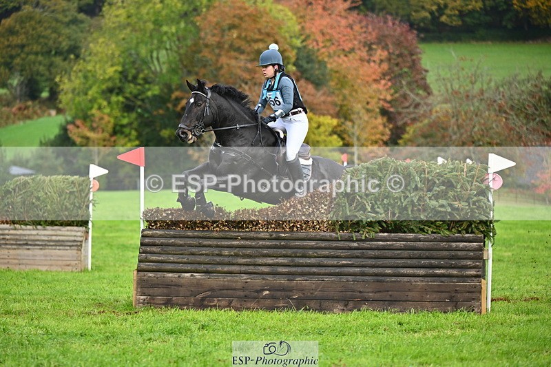 251025A-104253-16824 - D-356-Eloise.Starr