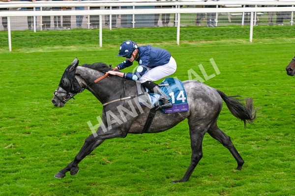 101025-Race 7-Sky Advocate-0603 - Race 7 PJ Staffing Group Apprentice Handicap at York
