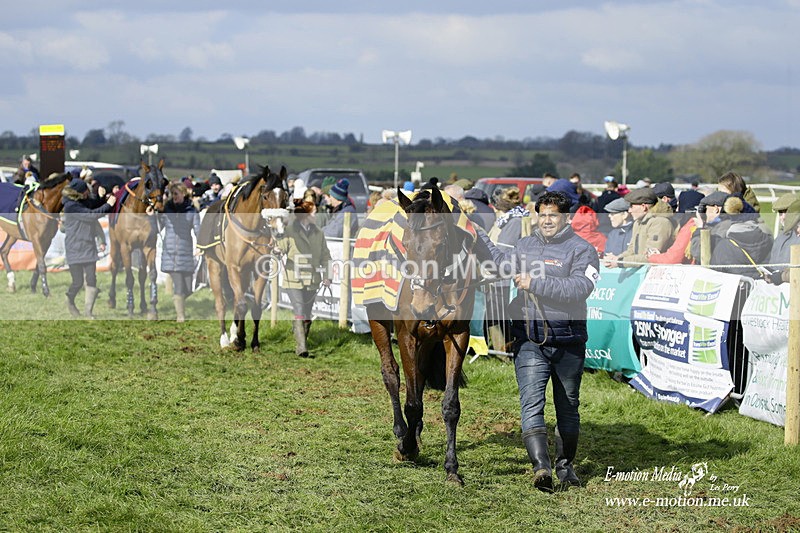 PtP 060322 212 - Blackmore & Sparkford Vale Hunt PtP 06/03/22