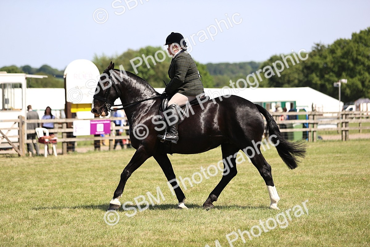 SBM_17911 - Class 81-83 - TSR Ridden Amateur of the Year - Horses