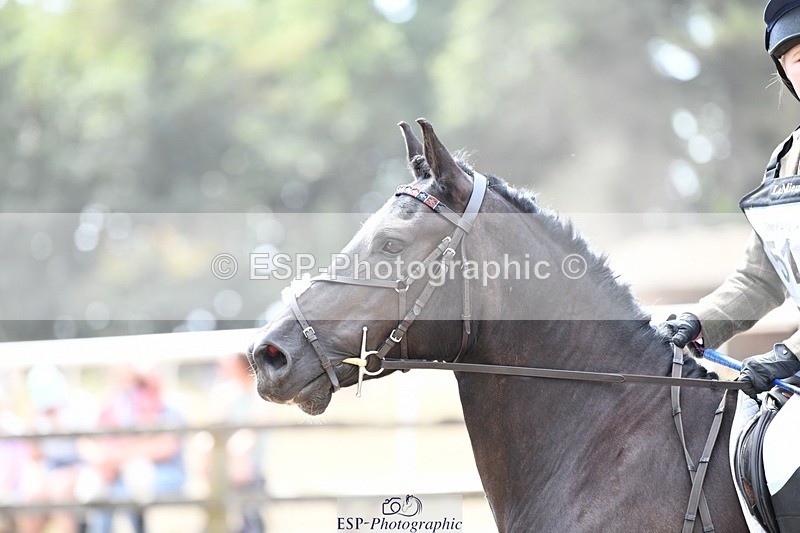 250822A-114342-21359 - NAF Round 1 11.30 to 12.50