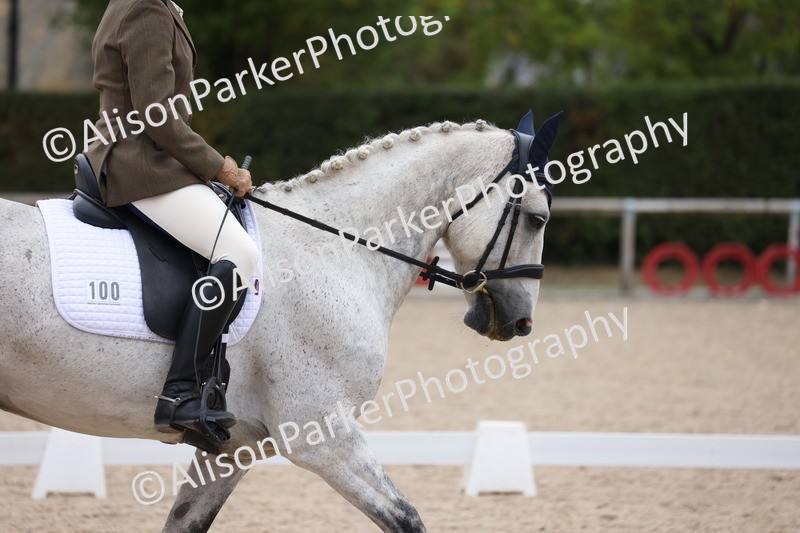 20250820-0919 - Class 16 - Novice 5