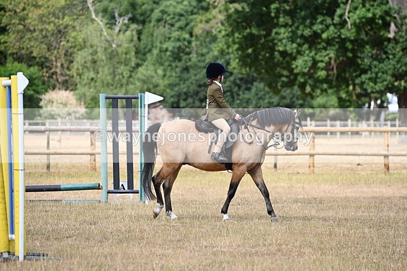 WJ6_7552 - Class 9 Tack and Turnout
