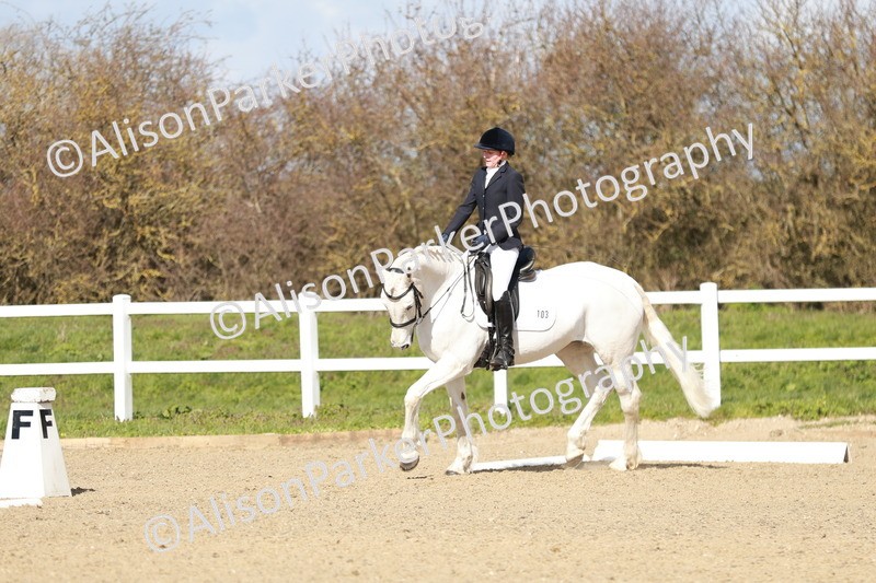 20260314-2963 - DR3 - Prelim 1