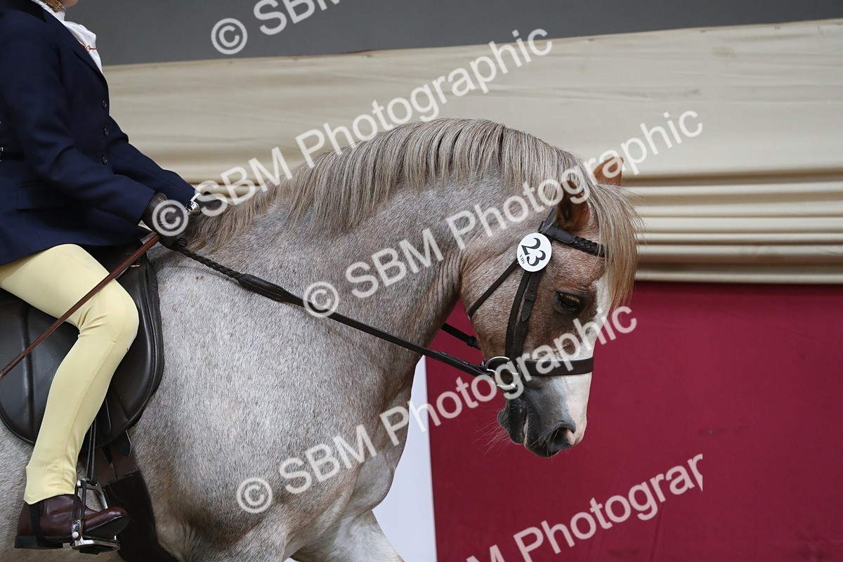 SBM_16255 - Class 502 M&M Ridden Supreme Final