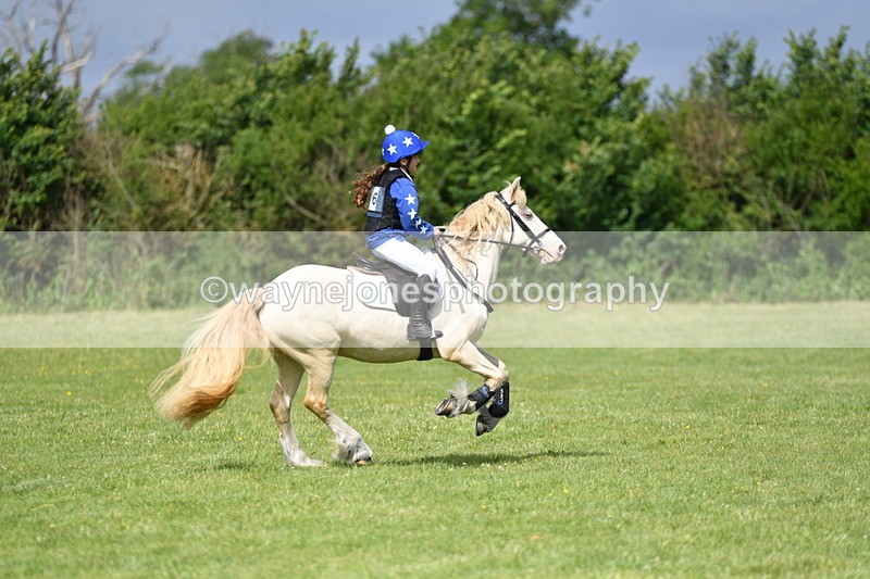 WJ5_2697 - Class 2 40cm