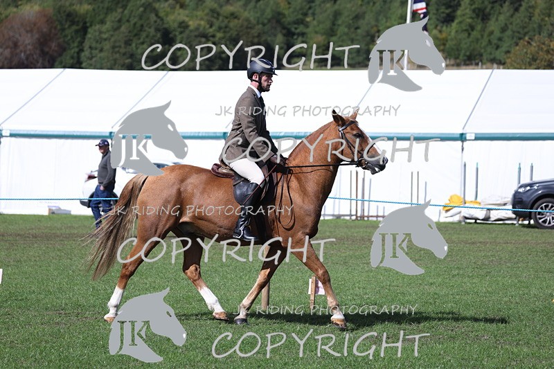 APP_3489 - Class 12 M&M ridden