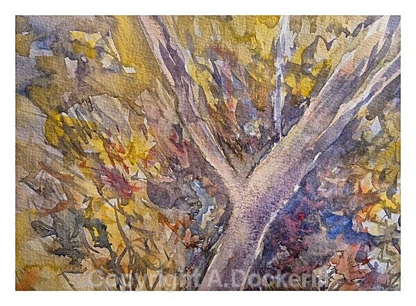 1000023409 - Watercolours