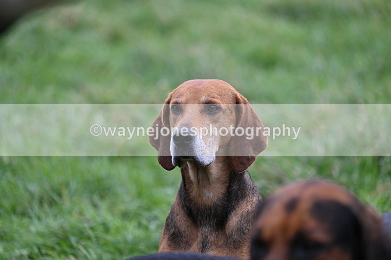 WJ7_4285 - Meet