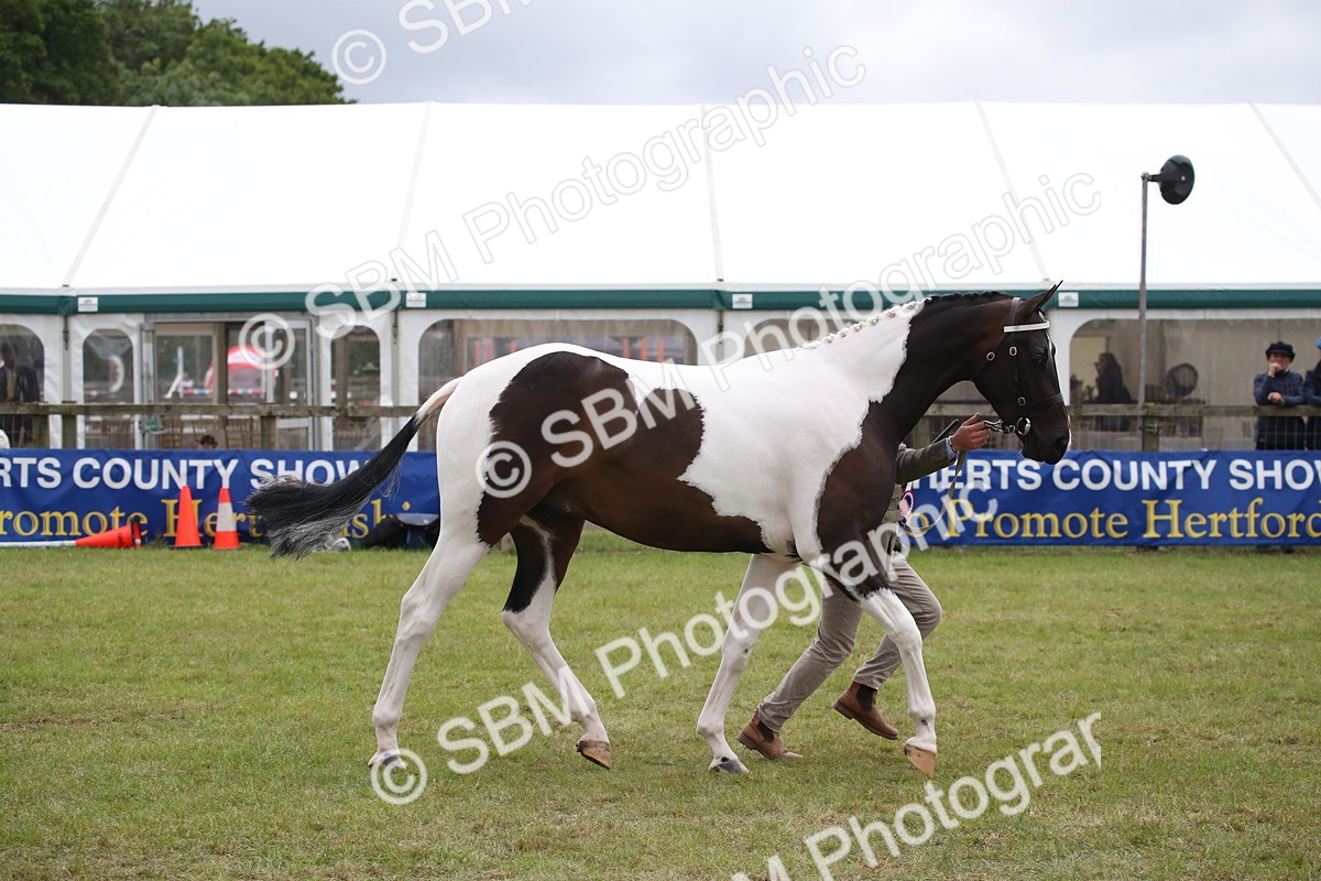 SBM_09871 - Ch 50 - Price Family Supreme In Hand