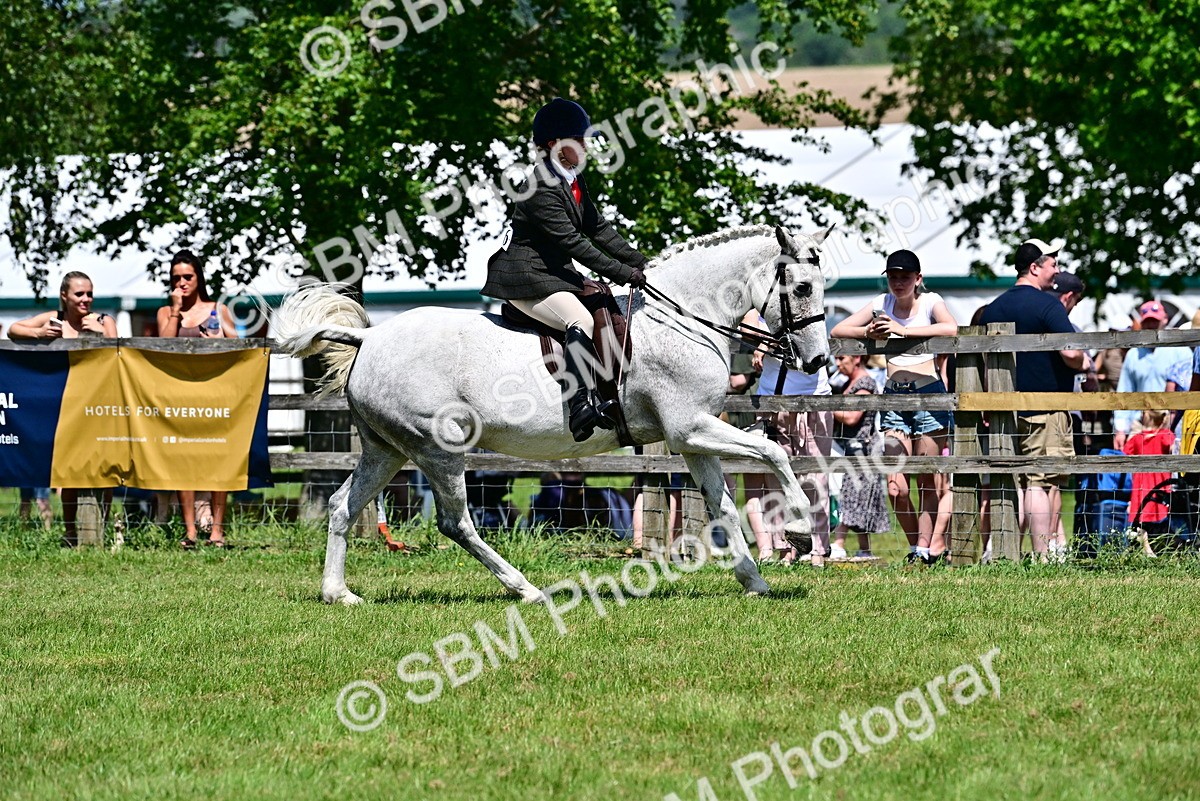 SBM_17464 - Class 95-97 - BSPS LHS Performance Ponies